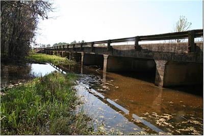 Non-destructive Testing of a 100-Year-Old Reinforced Concrete Flat Slab Bridge